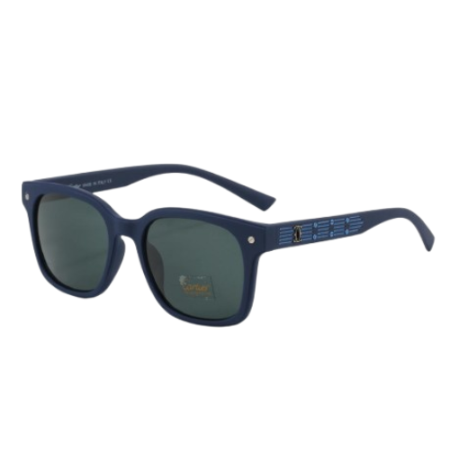 CARTIER ZJ1022 Blue frame gray film B2